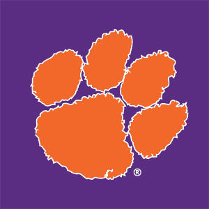 Clemson University Tiger Print Purple Nintendo 2DS XL (2017) Skin